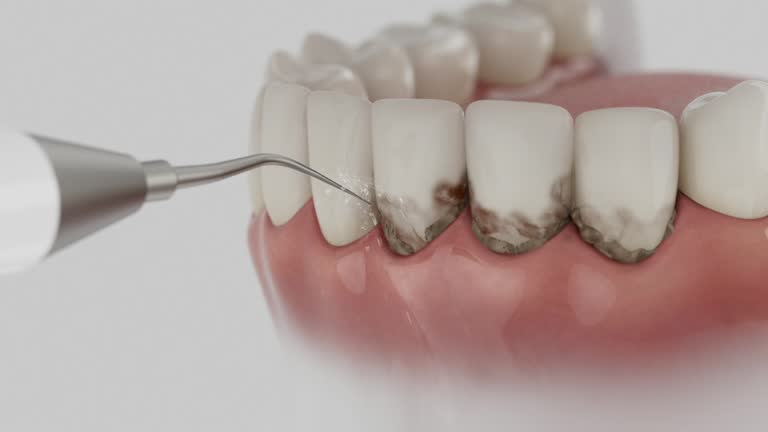 Reliable Dental contractor in Indianola, MS by Dentist Open Now